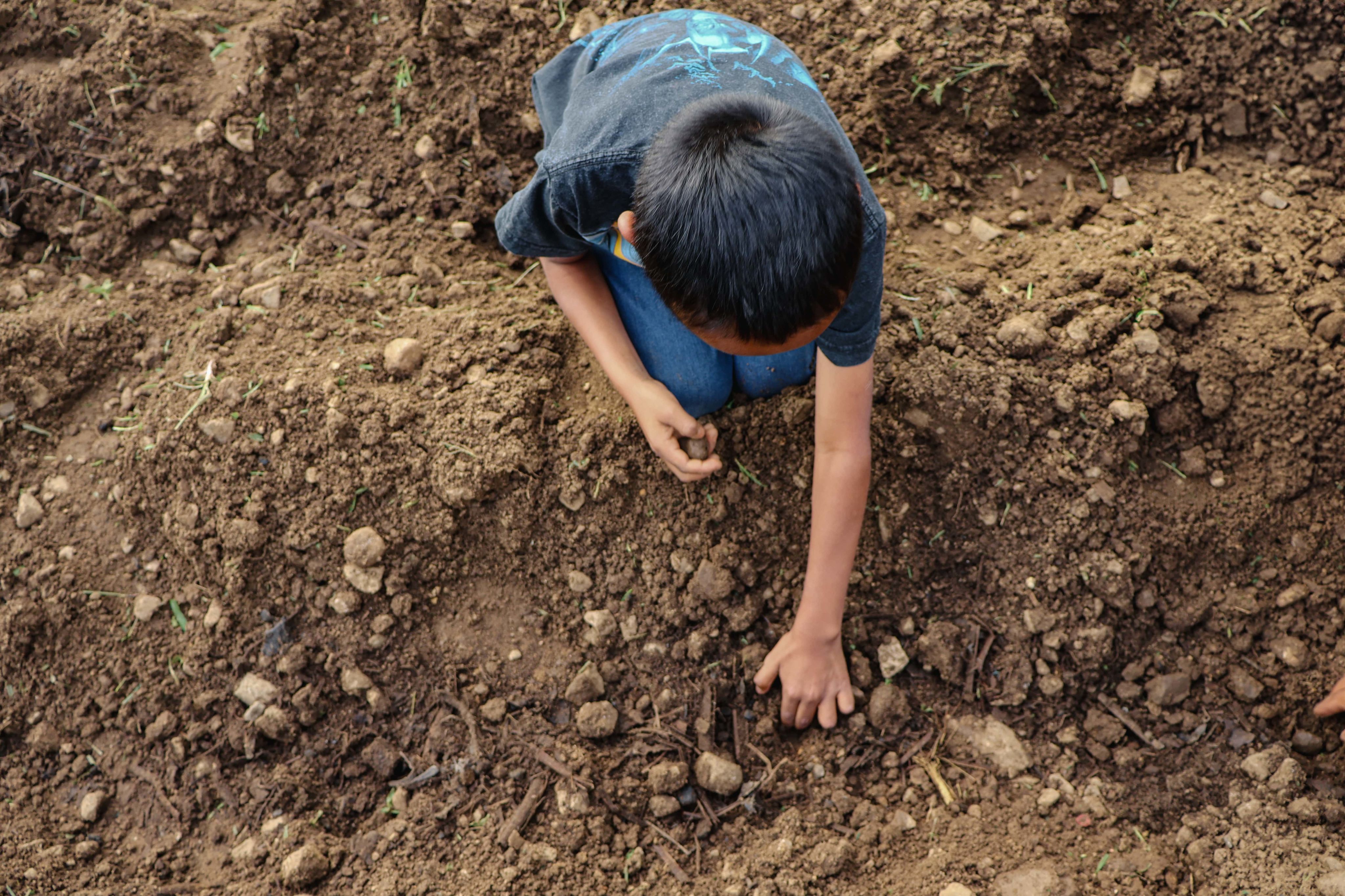 A boy with hands in the soil