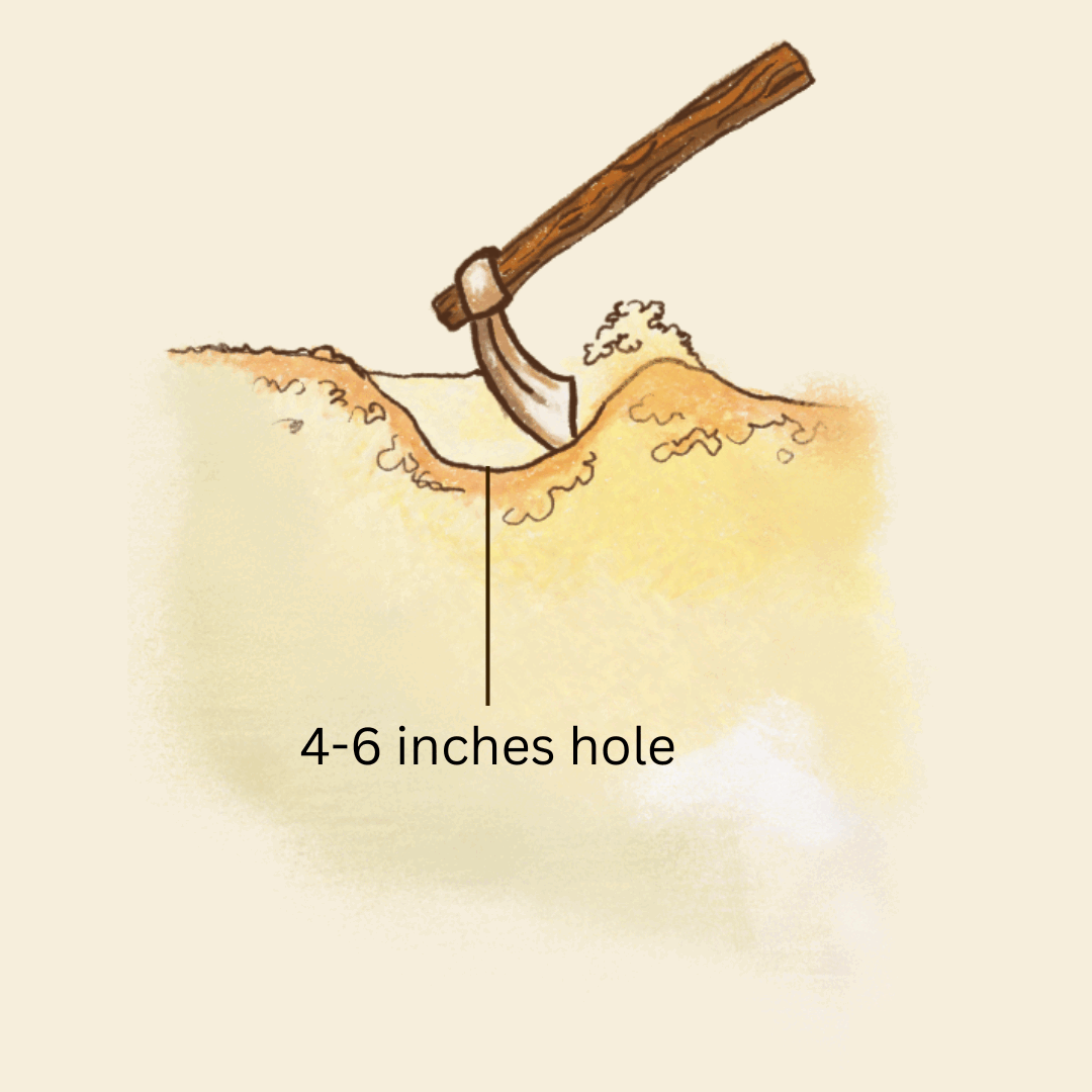 Zai pit illustration, animated