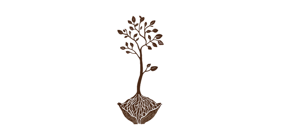 Illustration of a tree seedling