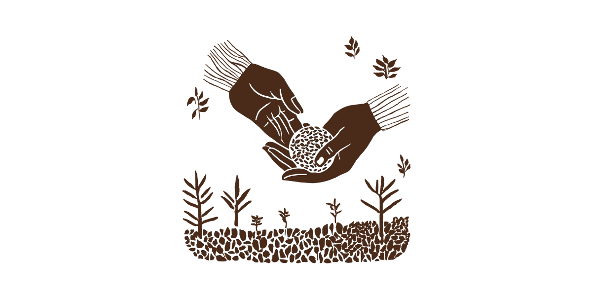 Illustration of hands sharing seeds