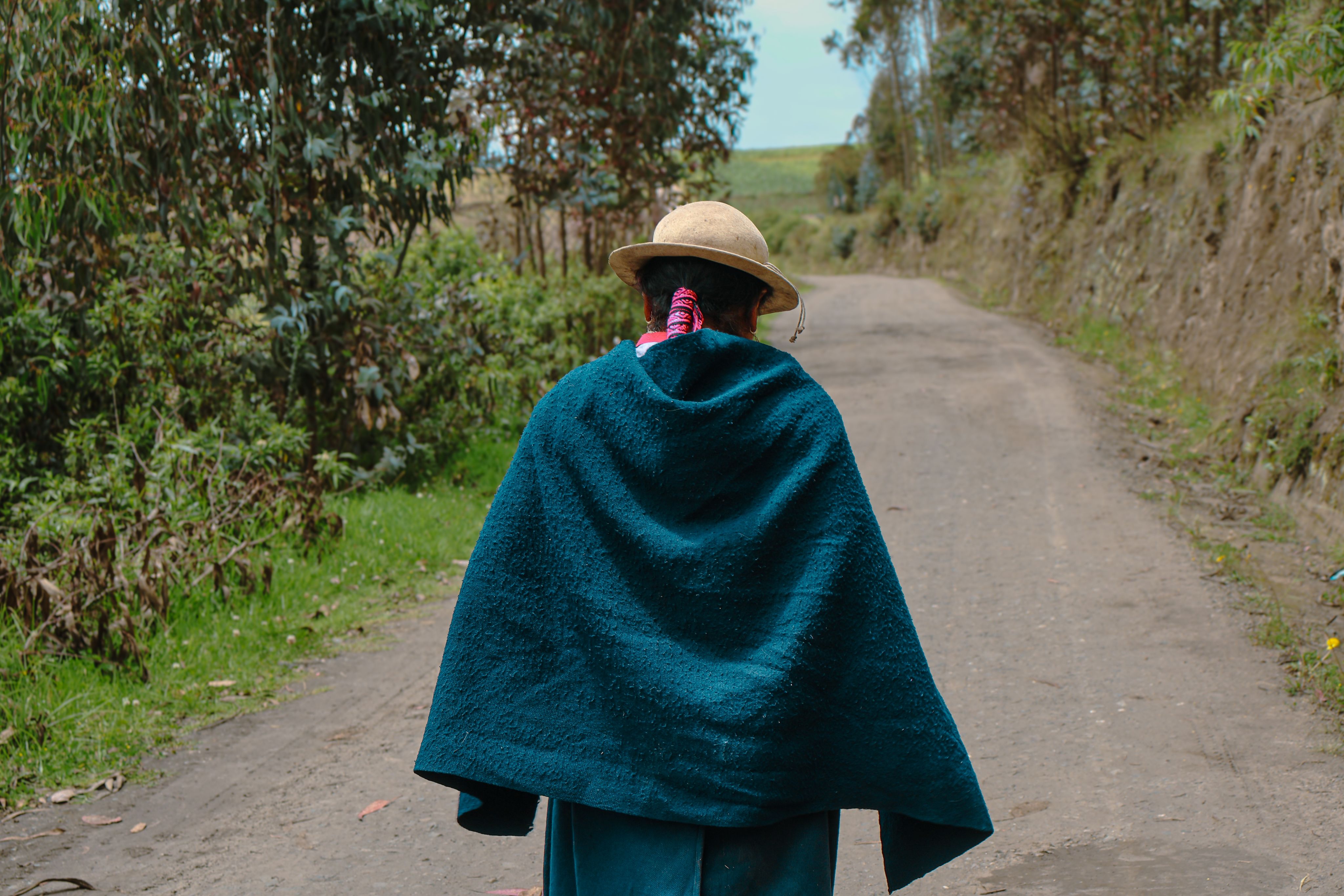 green plant in close up photography