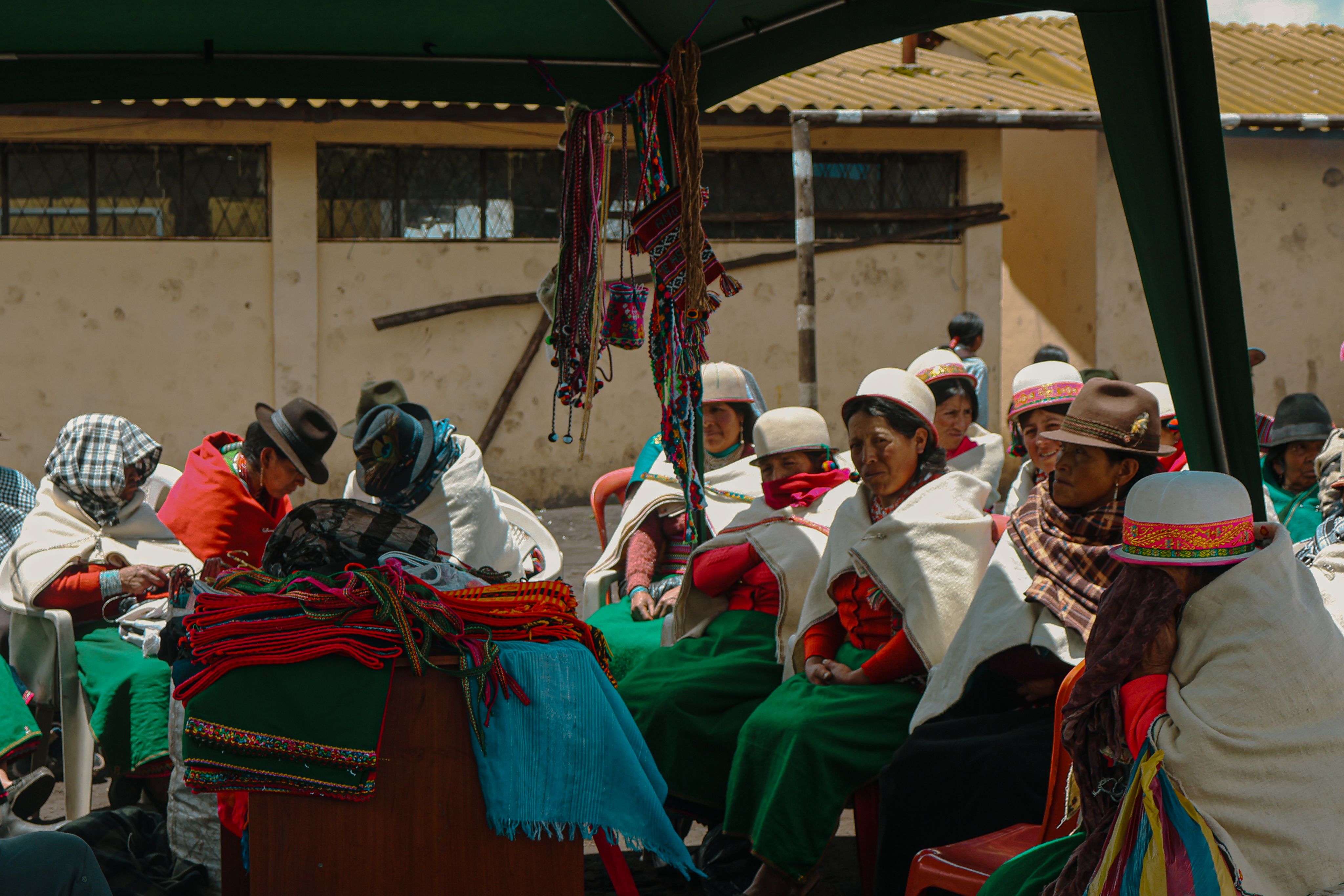green plant in close up photography